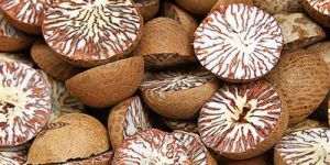 Betel Nuts