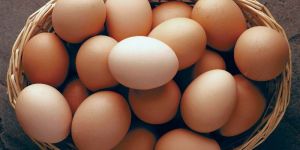 Brown Eggs