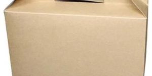 Plain Corrugated Box