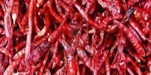 Dry Red Chilli