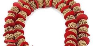 Rudraksha Mala