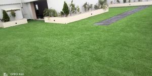Artificial Lawn Grass