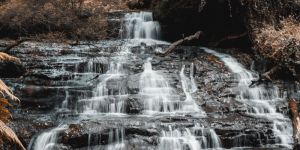 Ooty Kodaikanal 3 Nights / 4 Days 2022