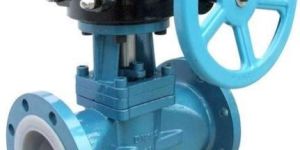 API Plug Valve