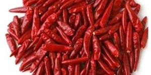 Stemless Red Chilli