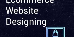 Ecommerce Web Design Services