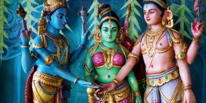 RAM Paribar Fiber Statu