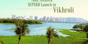 Real Estate Developer