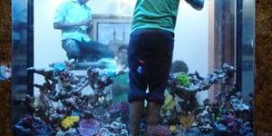 Aquarium Maintenance Service
