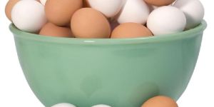 Chicken Eggs