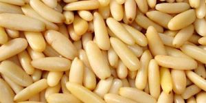 Pine Nuts