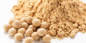 Soybean Meal