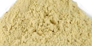 Wheat Gluten Powder