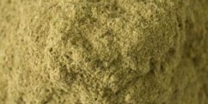 Organic Lemon Grass Powder