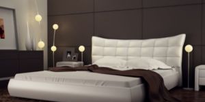 Interior Designing Services