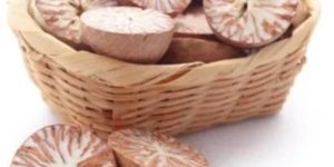 Dried Betel Nuts