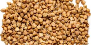 Buckwheat Seeds