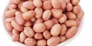 Groundnut Kernels