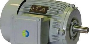 Crompton Electric Motor