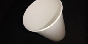 Paper Cup 12oz