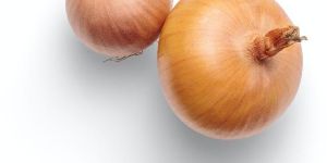 Onion