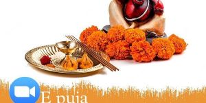 E-Puja Services