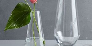Glass Flower Vase