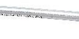 Xl Interlocking Tibial Nails