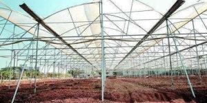 Agricultural Greenhouse Polyhouse GI Pipe