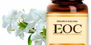 Ginger Lily Absolute