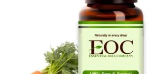 Carrot Seed Oil