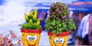 Haus-Fabula Terracotta Clay Indoor Planter with Bottom Tray