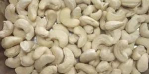 Cashew Nut
