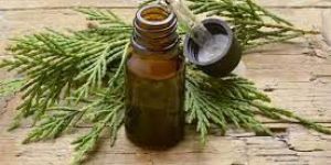 Cypress Oil