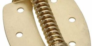 Spring Floor Hinge