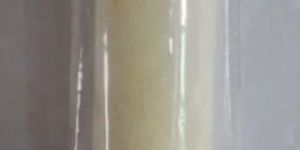 Polyester Foam Roller