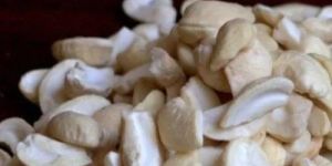 Cashew Nut