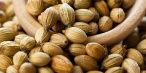 Coriander Seeds