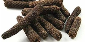 Long Pepper