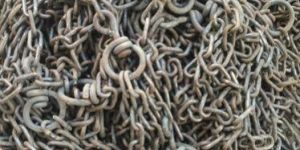 Cow Chains