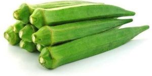 Fresh Okra