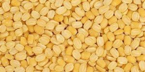 Moong Dal