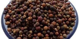 False Black Pepper Seeds