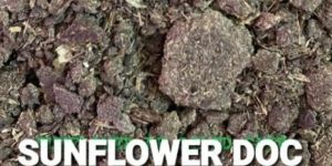 Sunflower De Oiled Cake