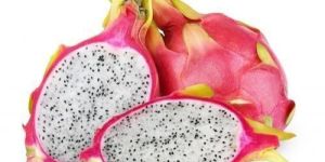 Dragon Fruit