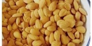Almond Nut