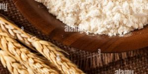 Wheat Flour