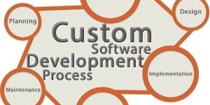 Customized Software Development