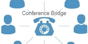 PARTH 60B Audio Conference Bridge