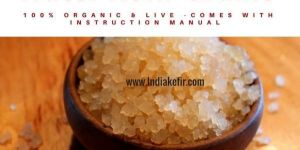 Water Kefir Grains